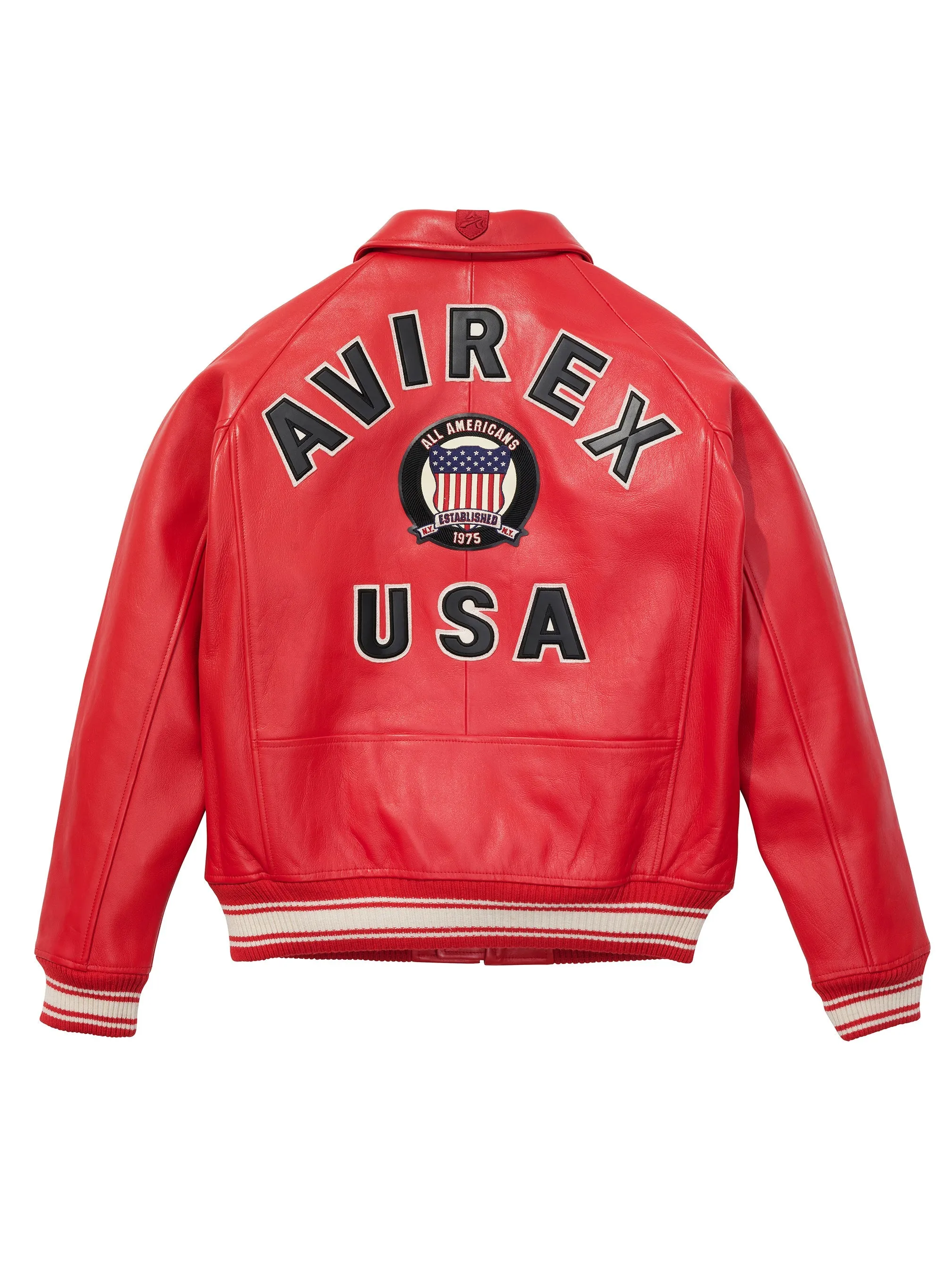 Avirex icon jacket (salvage red)