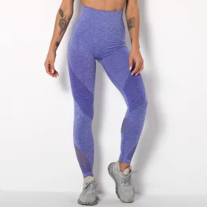 Compulsory Seamless Mesh Sports Leggings