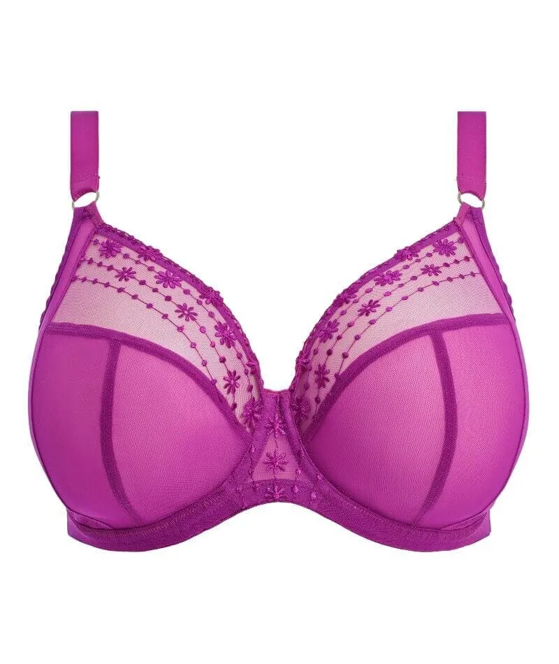 Elomi Matilda Underwired Plunge Bra - Hollyhock