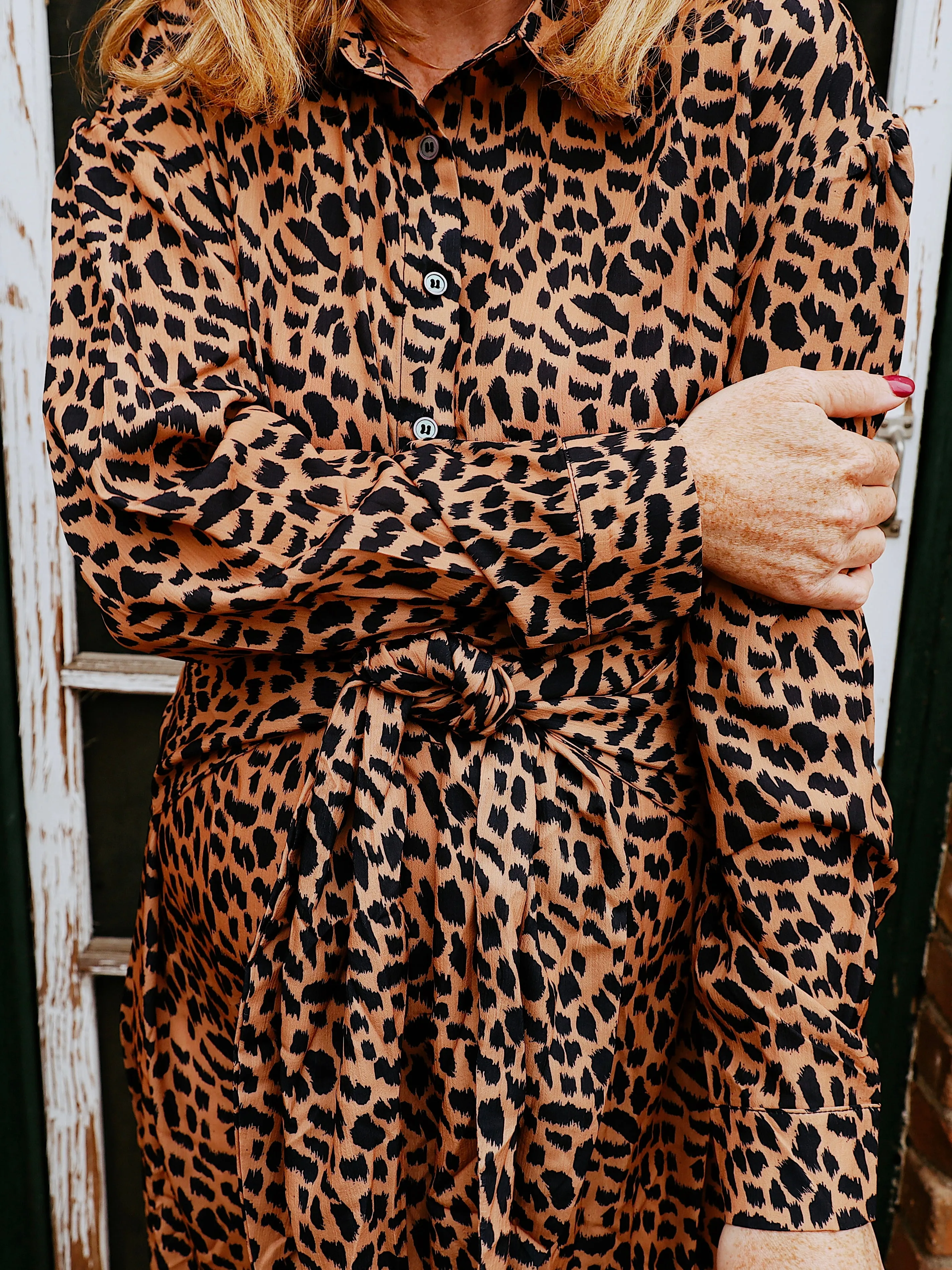 Holland Leopard Wrap Dress