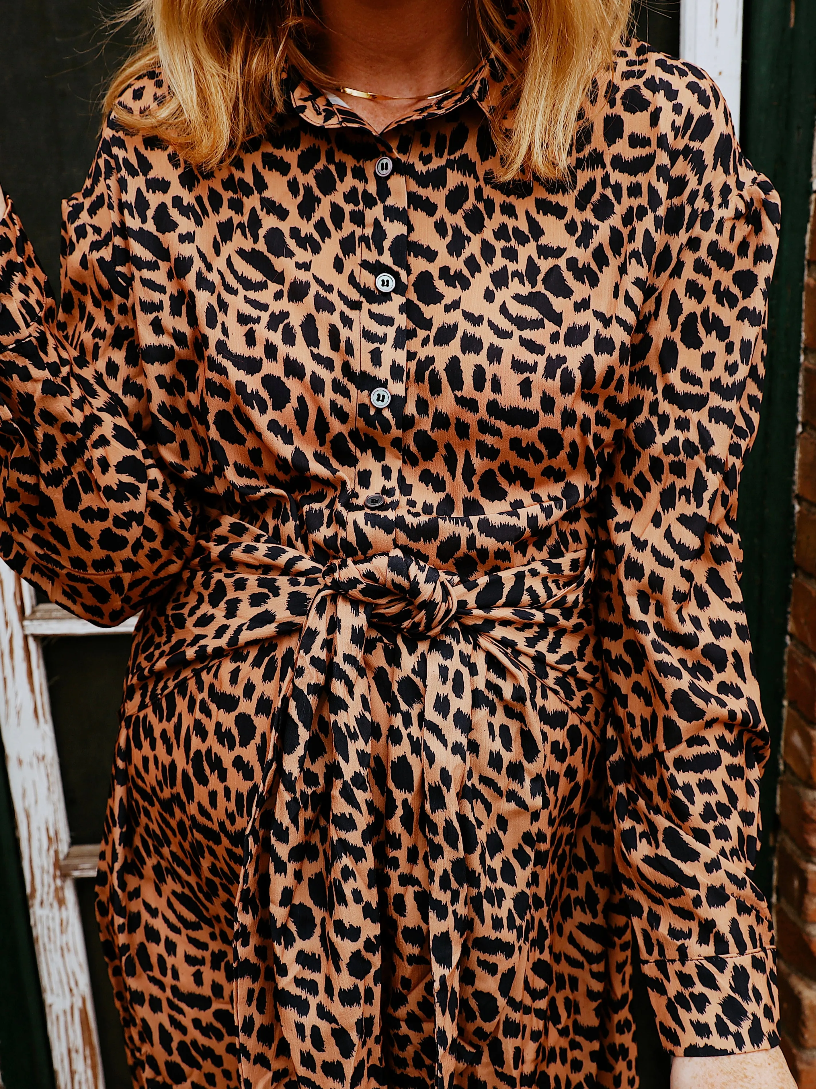 Holland Leopard Wrap Dress