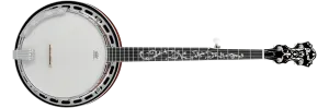 Ibanez B200 5-String Closed Back Banjo, Natural