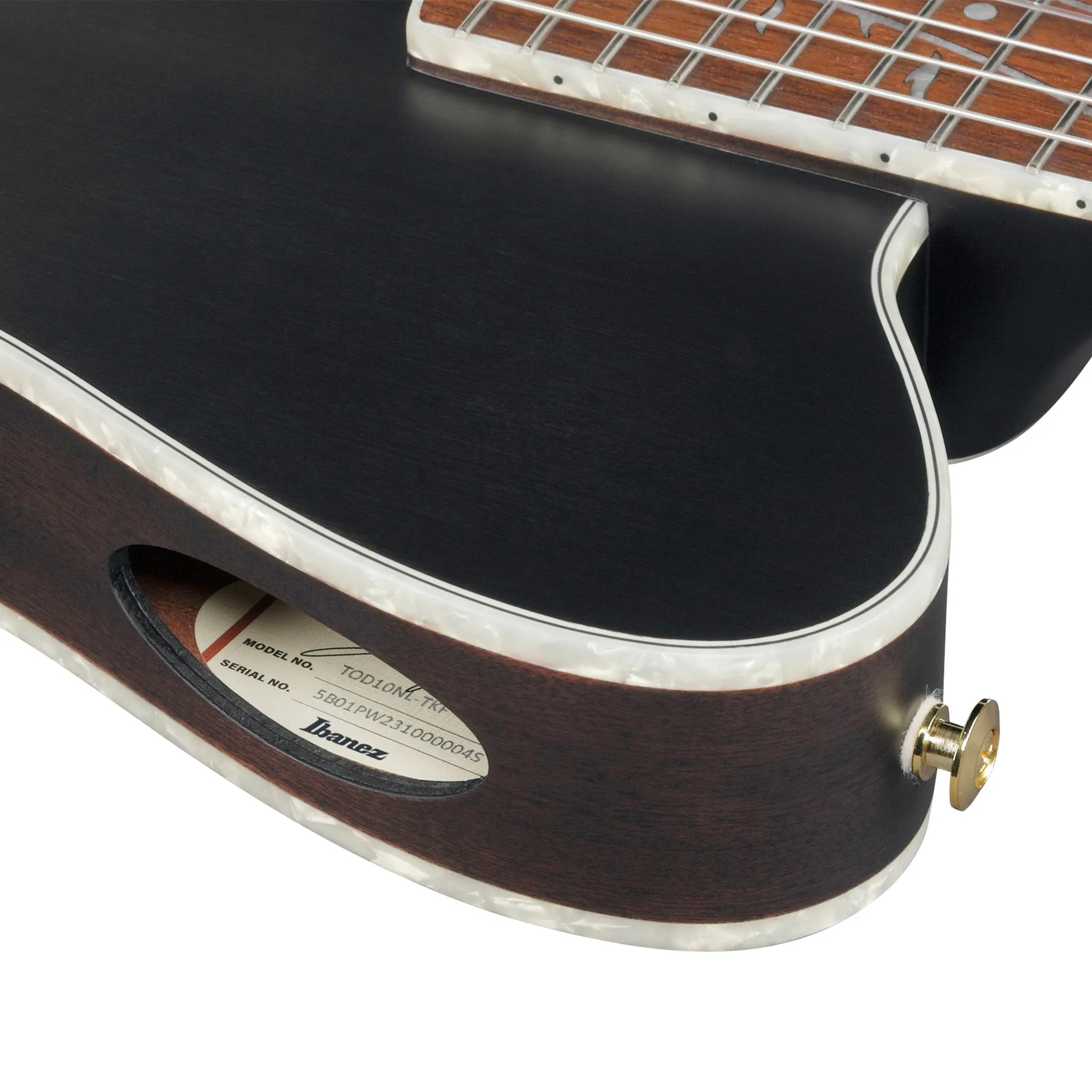 Ibanez TOD10NL-TKF Left-Handed Tim Henson Signature Nylon String Guitar, Transparent Black Flat