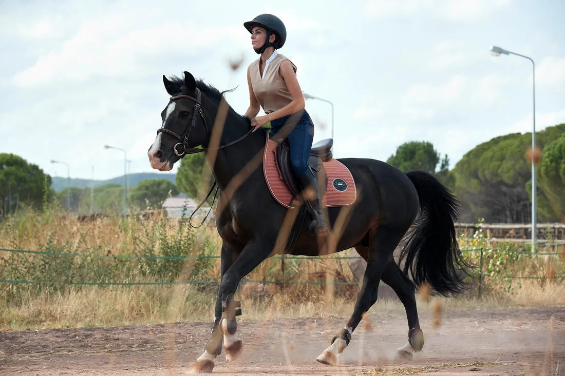 Legging équitation léger Femme - 100 marine