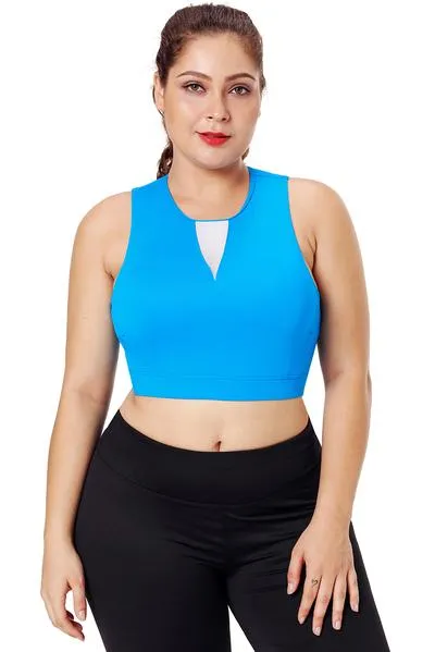 Mesh Insert High Neck Plus Size Sport Bra