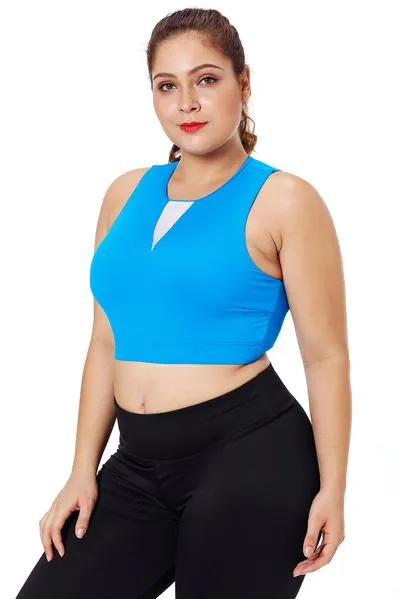 Mesh Insert High Neck Plus Size Sport Bra