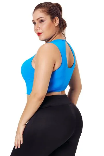 Mesh Insert High Neck Plus Size Sport Bra