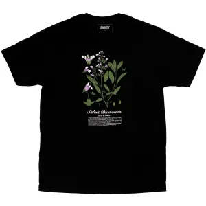 SALVIA TEE BLACK