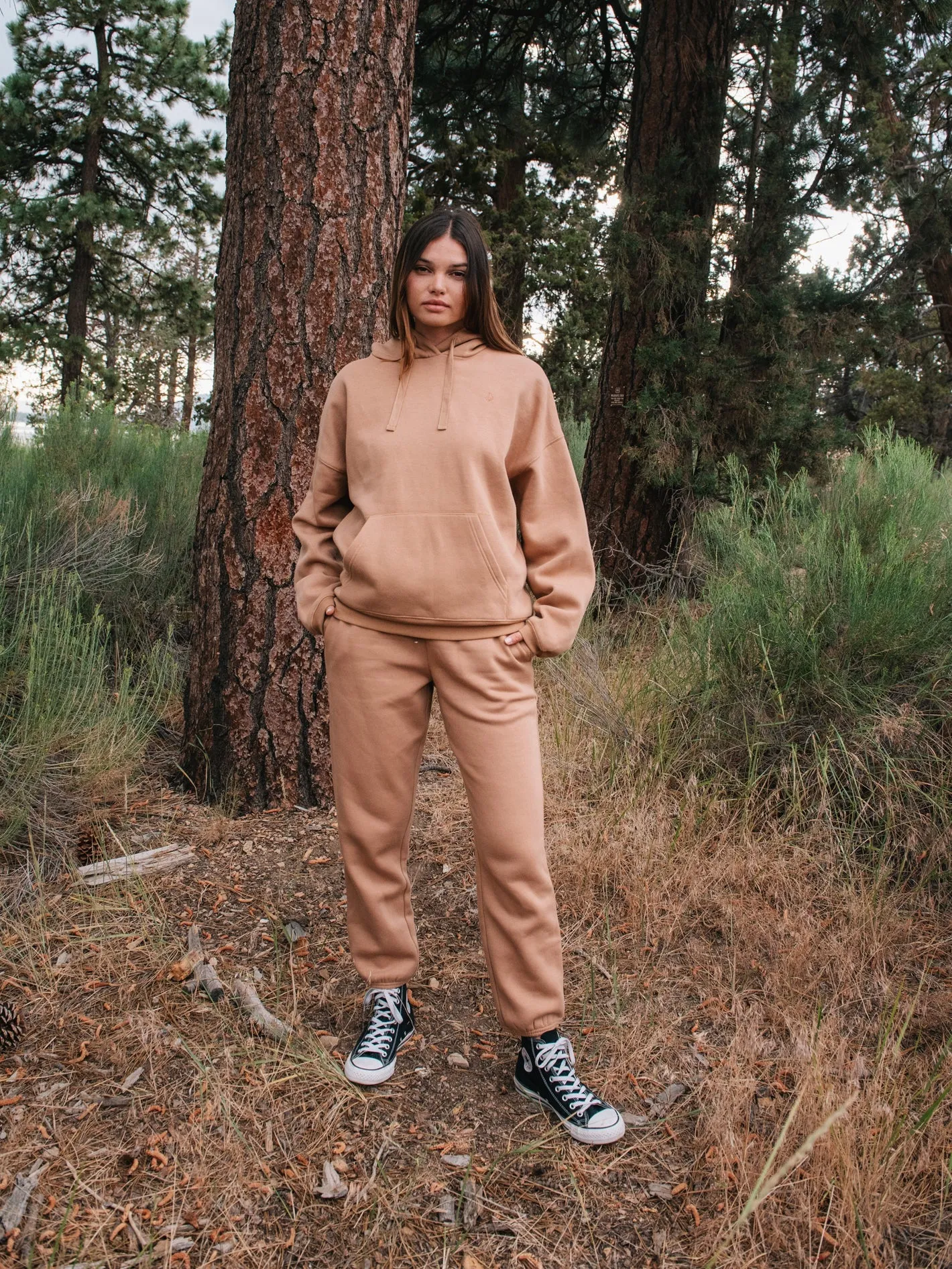 Stone Heart Ii Hoodie - MOCHA