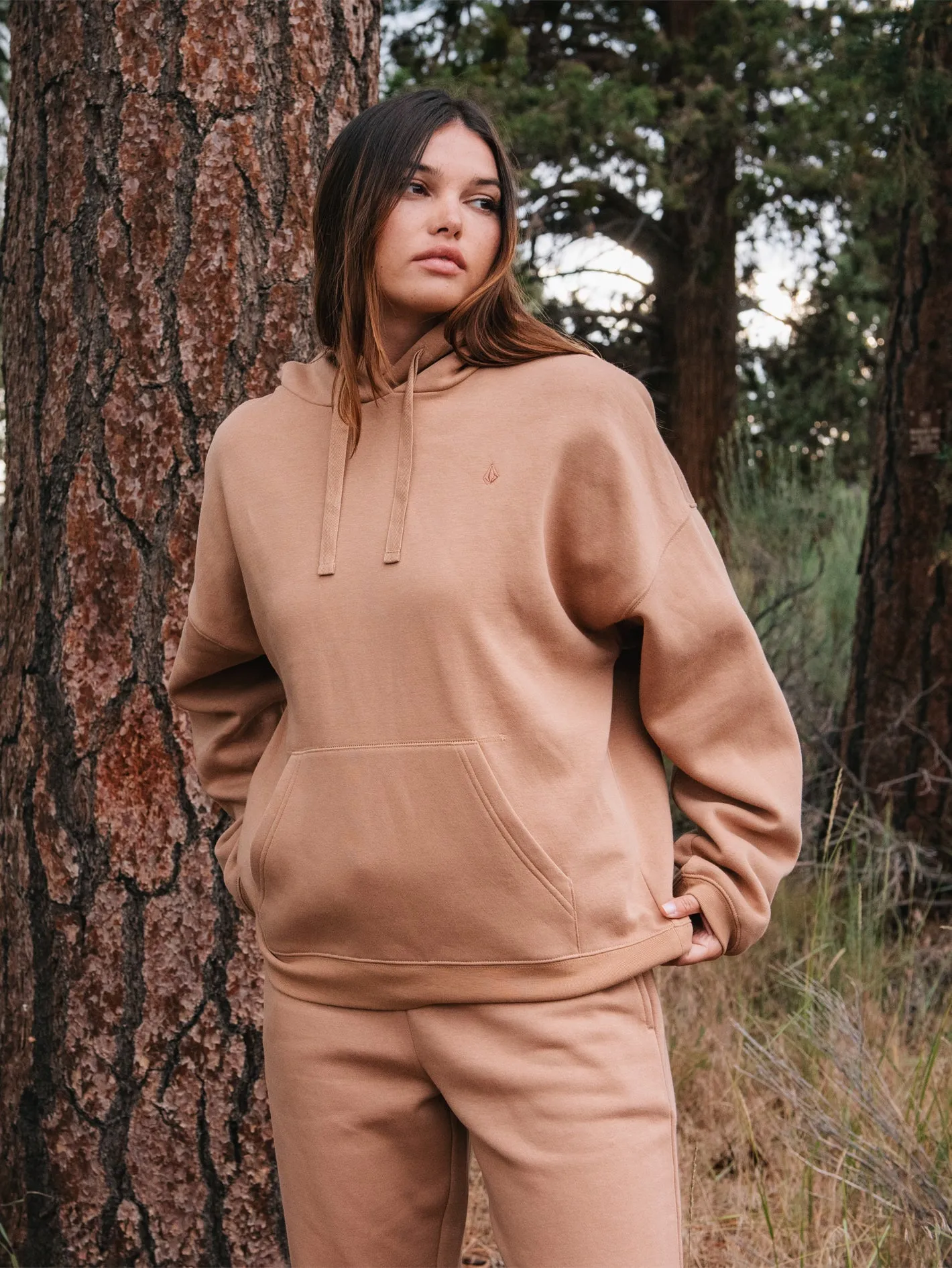 Stone Heart Ii Hoodie - MOCHA