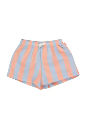 Stripes Trunks, Bluegrey/Papaya